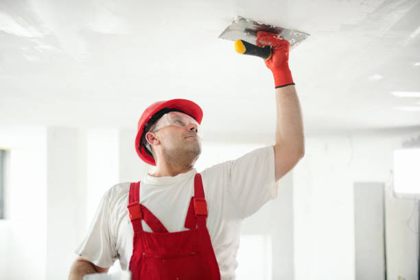 Best Water-Damaged Drywall Repair  in Mickleton, NJ