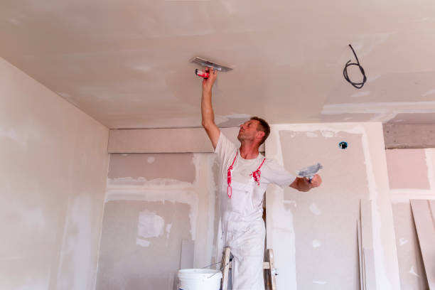 Best Drywall Installation  in Mickleton, NJ